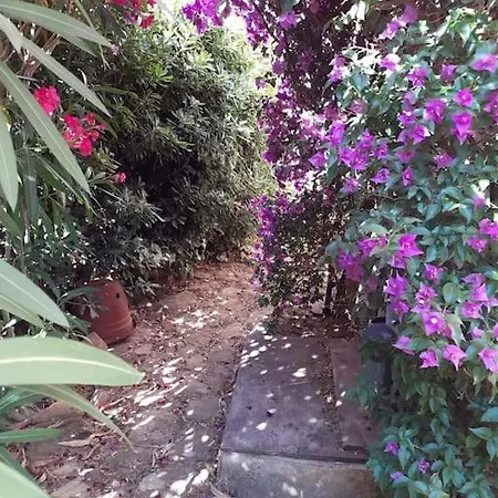 T2 Climatise, Avec Jardins Et Parking Prive