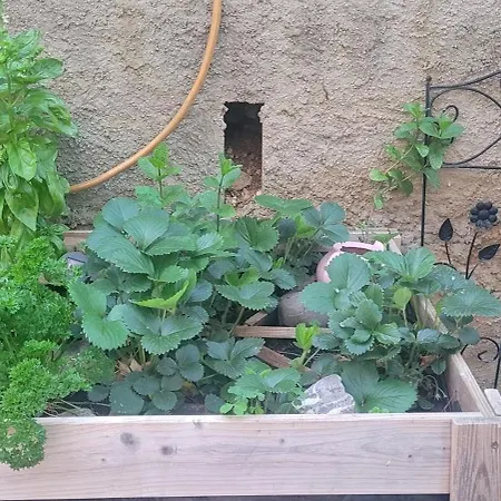 Apartment T2 Climatise, Avec Jardins Et Parking Prive *